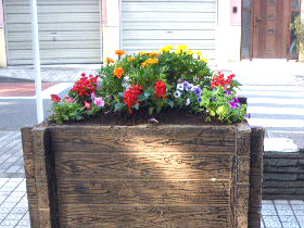 公園のボックス花壇の植え替え