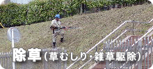 iނEG쏜j